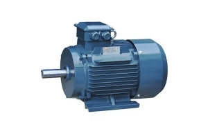 山（shān）東三相異步電機在運行過程中（zhōng）注意事（shì）項有哪些？