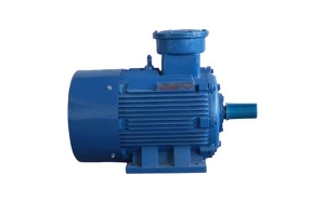 YB2係列隔爆型三相（xiàng）異步電動機